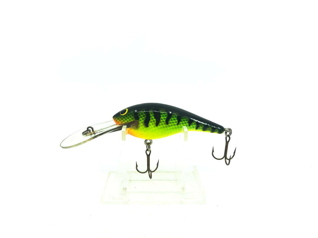 Lee Sisson Diving Little Ticker Fire Tiger Color