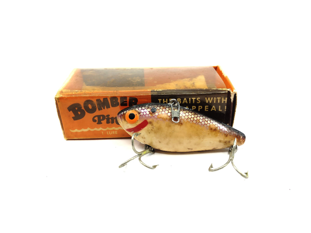 Bomber Pinfish 3P Purple Shad with Box