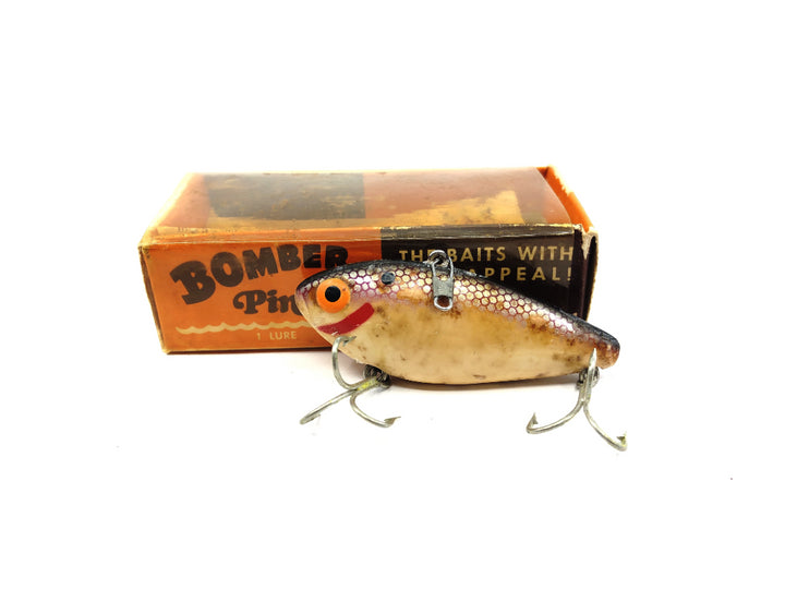 Bomber Pinfish 3P Purple Shad with Box