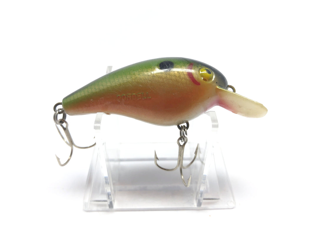 Cordell Big-O Rainbow Color Smaller Size