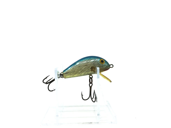 Rebel Humpback Silver Blue Back
