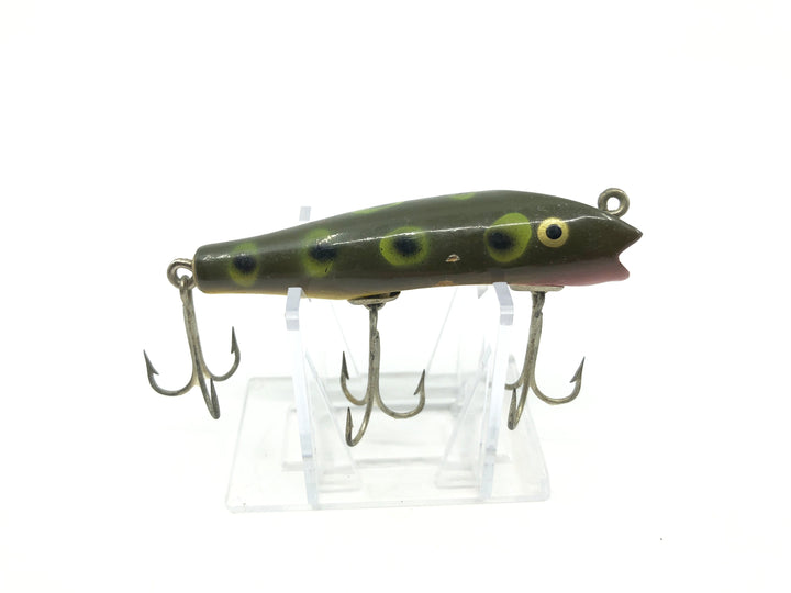 Creek Chub Concave Darter Frog Color