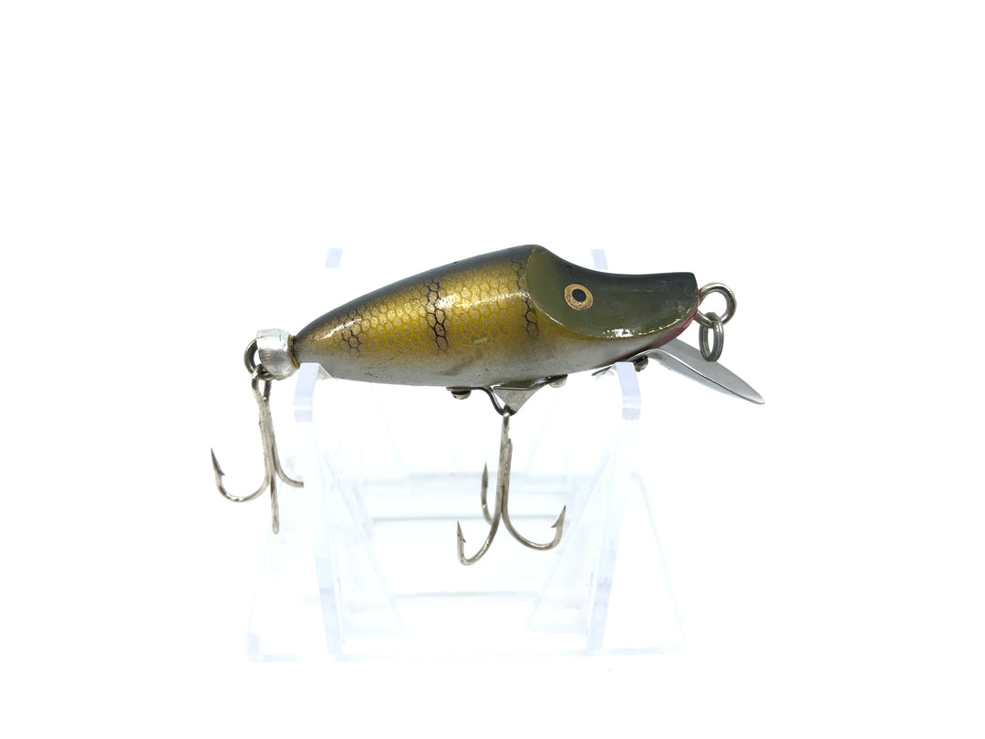 River Runt Look a Like in Pike Color
