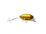 Plastic Image Scarab Beetle Creek Chub Imitation New in Box
