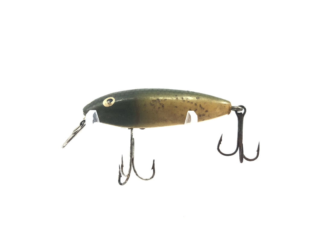 Cisco Kid Midget Cisco Kid Green Flitter Color