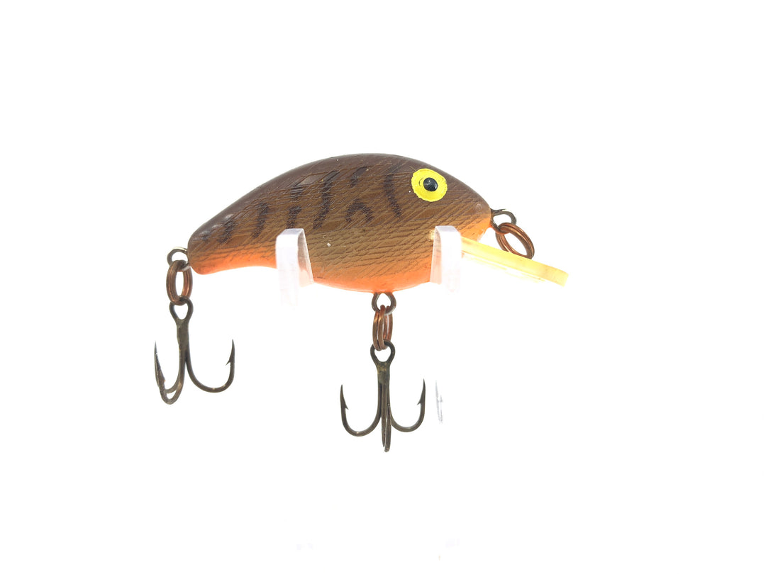 Rebel Teeny R Brown Crawdad/Orange Belly