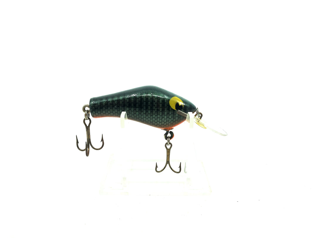 Poe's Super Cedar Medium Diving Series, Green Scale/Black Back/Orange Belly Color