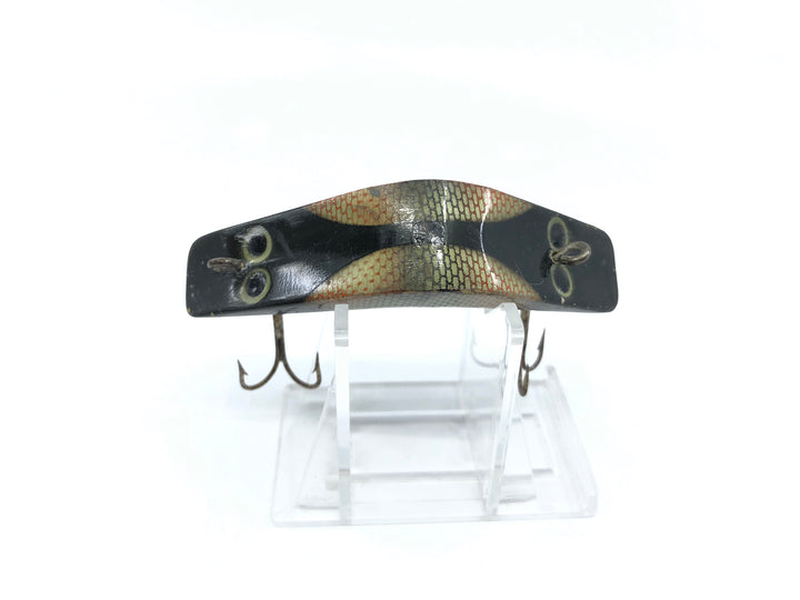 Millsite Daily Double Black Orange Color