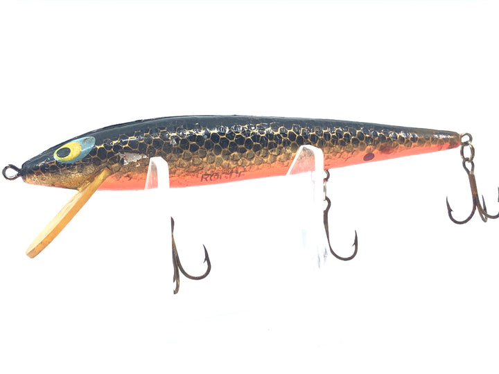 Smithwick Suspending Rogue Black and Gold Scale