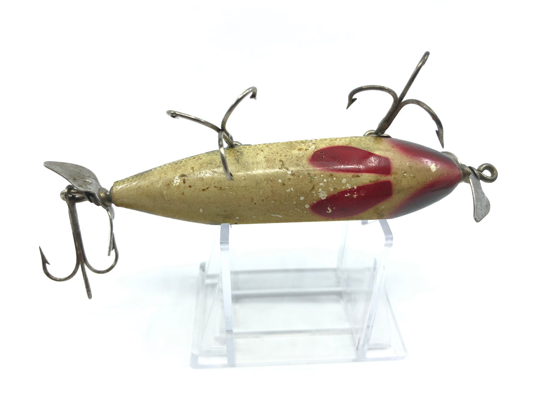Creek Chub Injured Minnow Perch Color