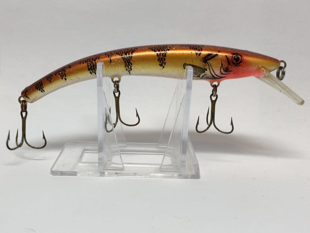 Reef Runner 4 Pack