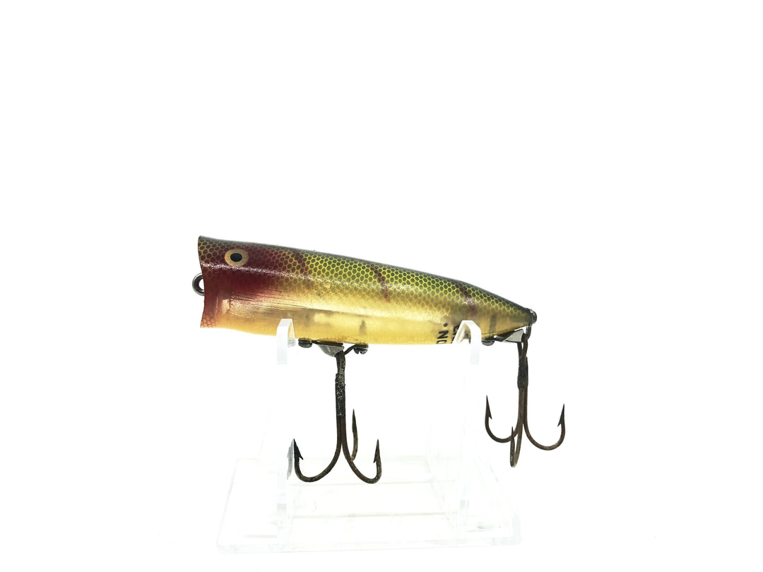 Heddon Chugger Spook 9542 L Perch Color