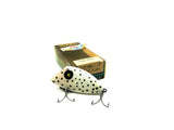 Heddon, PICO Perch Series T, White/Black Dots Color with Box