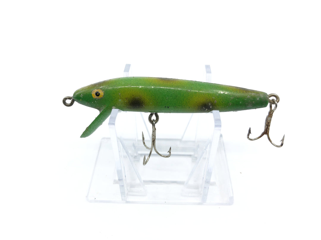 Green and Black Spots Minnow