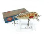 Circle H Sourpuss in Spotty Rainbow Color New in Box