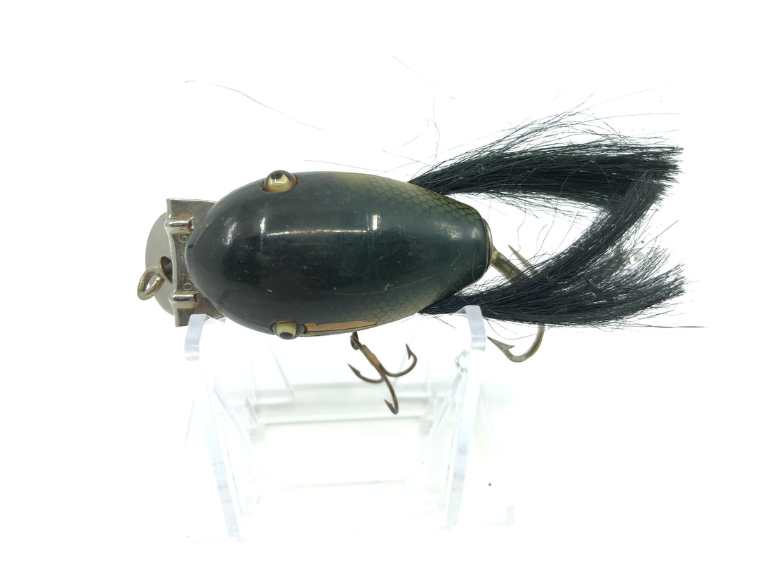 Creek Chub 5100 Dingbat in Perch Color 5101