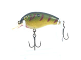 Cordell Big-O Perch