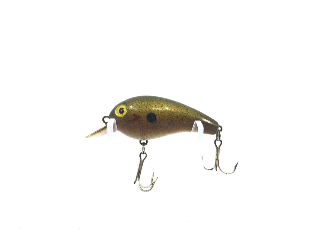 Cordell Big-O Pumpkin Seed Color