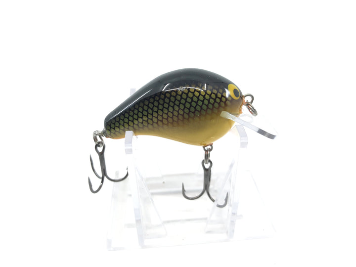 Bagley B1 Square Bill Gold Tennessee Shad Color BB1-GST New in Box OLD STOCK2