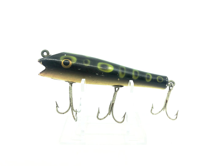 Paw Paw Darter, Frog Spot Color