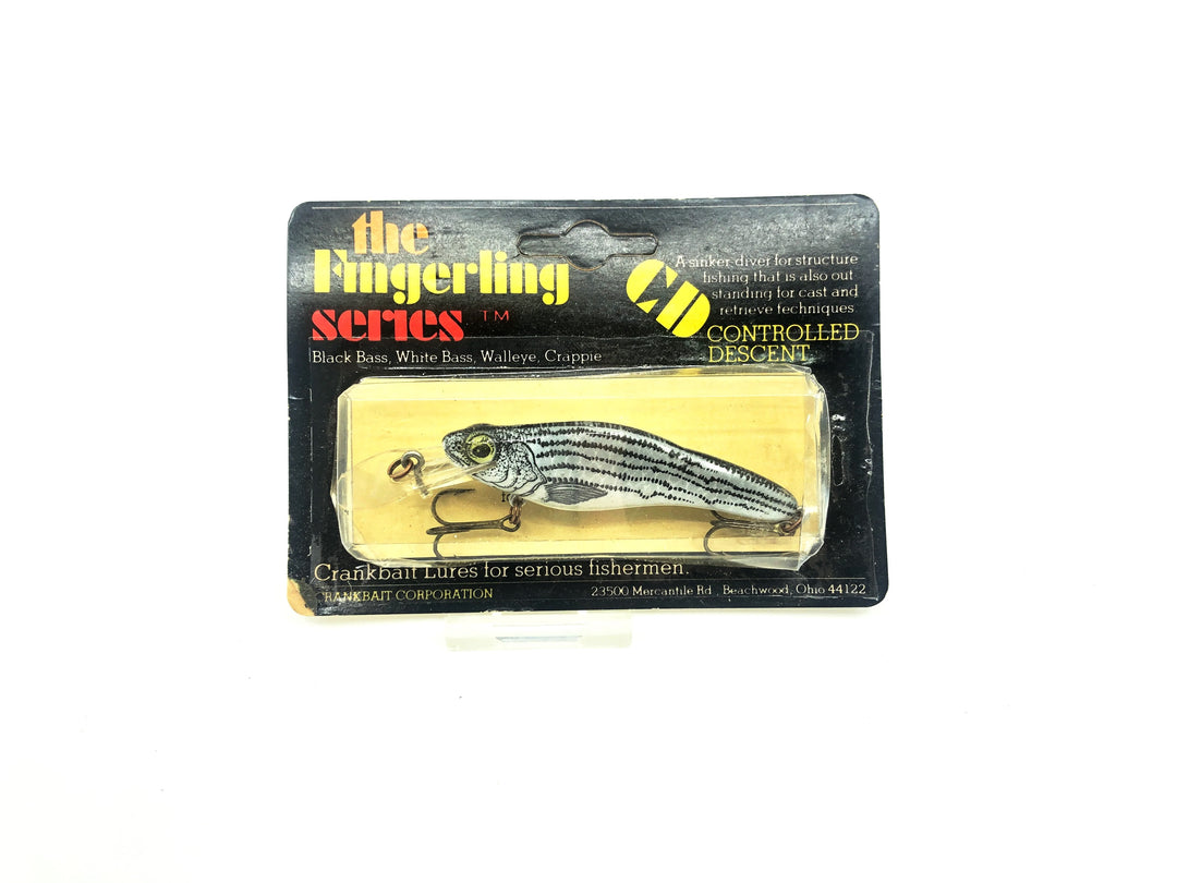 Crankbait Corp Fingerling, Striper Color 12 Card Old Stock