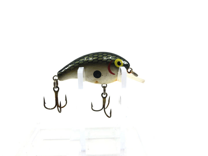 Rebel Super Teeny Wee R Tennessee Shad