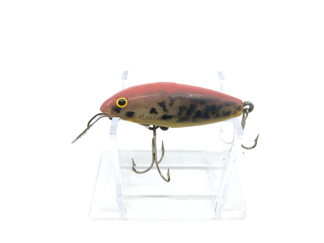 Cisco Kid Vintage Lure Rainbow Trout Color
