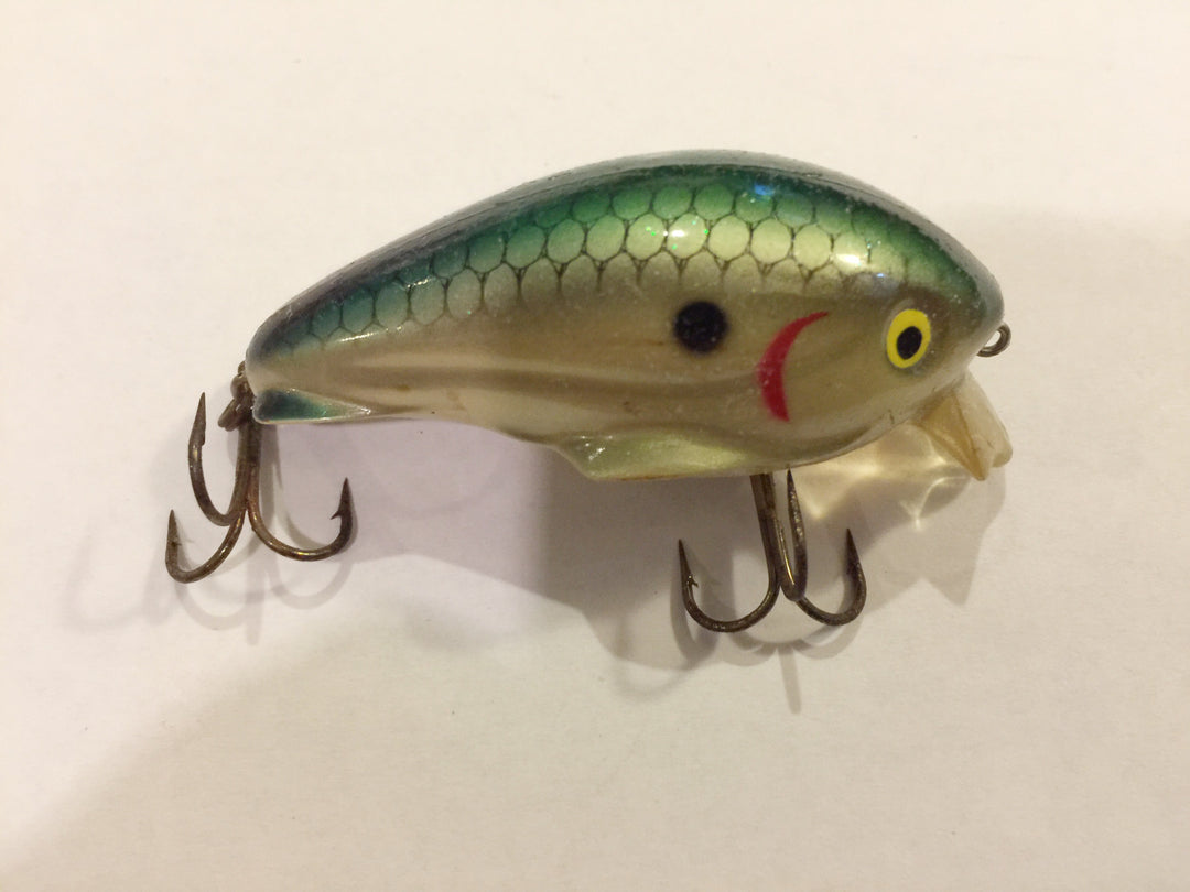 Worden Timber Tiger 268 Vitamin C Shad