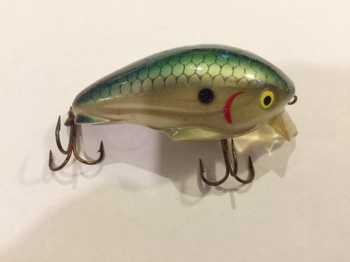 Worden Timber Tiger 268 Vitamin C Shad