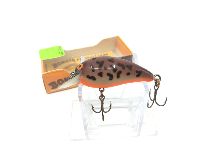 Vintage Bomber Model A 2A BSBO Light Crawdad Orange Belly Color New in Box Old Stock