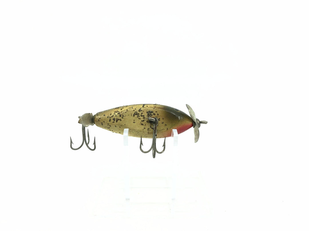 Creek Chub Baby Injured Minnow Silver Flash Color