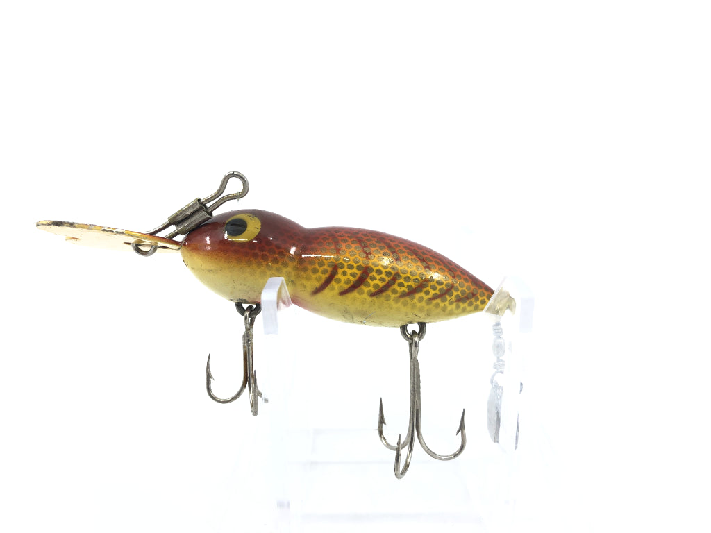 Hellbender Whopper Stopper Red Brown Back and Ribs