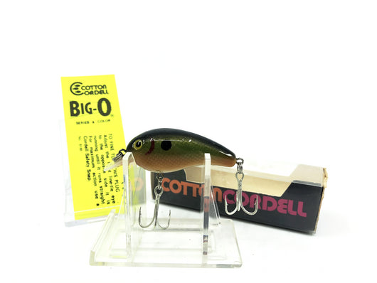 Cotton Cordell Big-O Sunfish Discontinued Color with Box – My Bait Shop, LLC