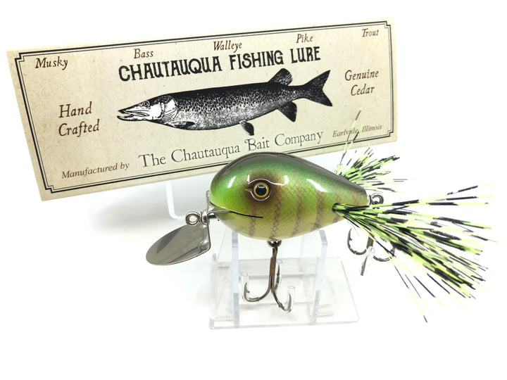 Chautauqua Custom Dingbat in Green Perch Color