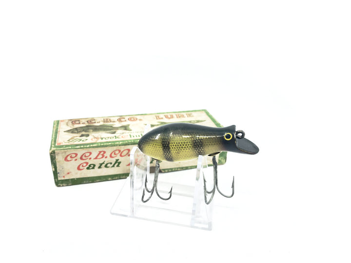 Creek Chub 6600 Dive Bomber in Perch Color 6601 with Box