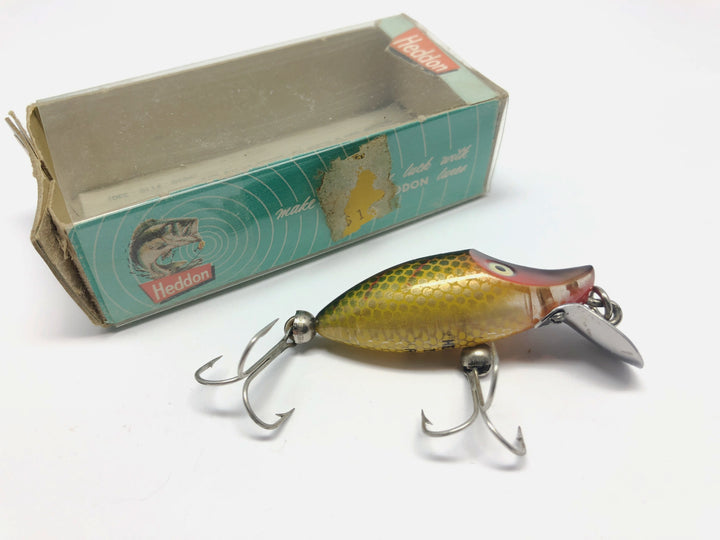 Heddon Tiny River Runt 350 L Perch Color New in Box
