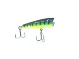 Bagley Popper Green Tiger Color