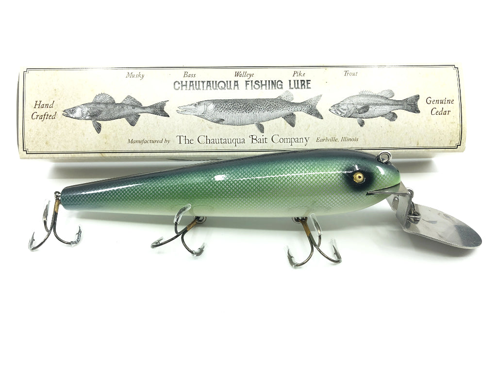 Chautauqua 8" Deep Diver Chautauqua Special in Green Chub 2020 Color