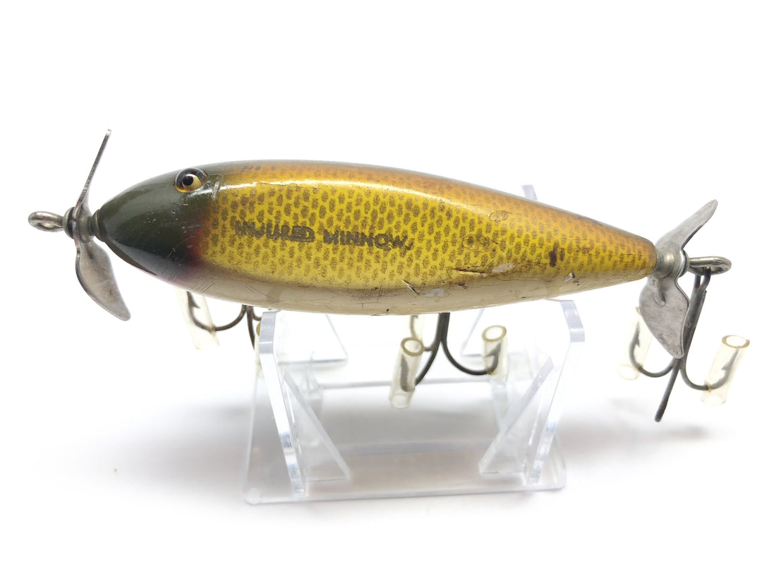 Creek Chub 1500 Injured Minnow Golden Shiner Color 1504