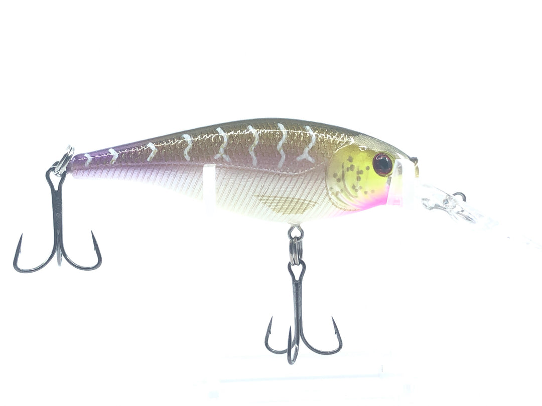 Berkley Frenzy FSH7-M Pink & Gold
