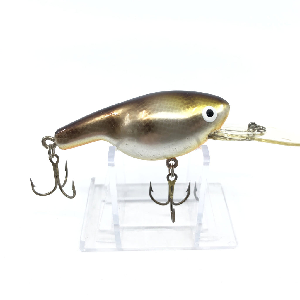 Bagley Fat Cat Type Bait Golden Perch – My Bait Shop, LLC