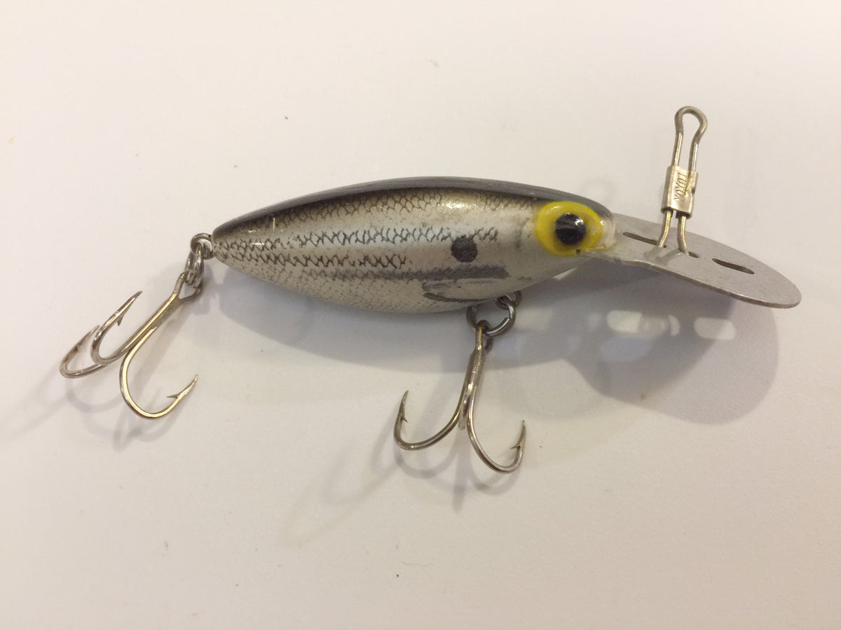 Shad Pattern Storm Thin Fin Hot 'N Tot Shad Pattern – My Bait Shop, LLC