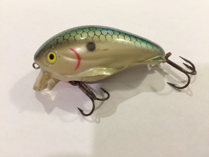 Worden Timber Tiger 268 Vitamin C Shad