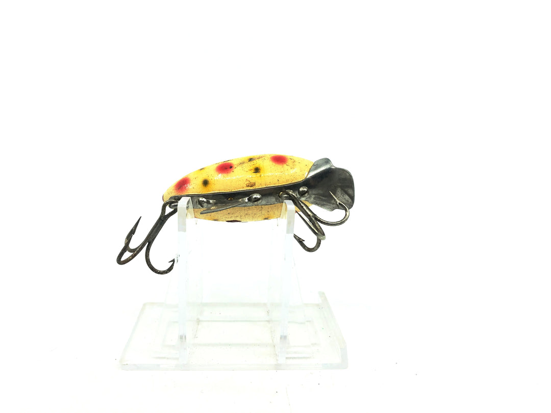 Clark's Water Scout Strawberry Color