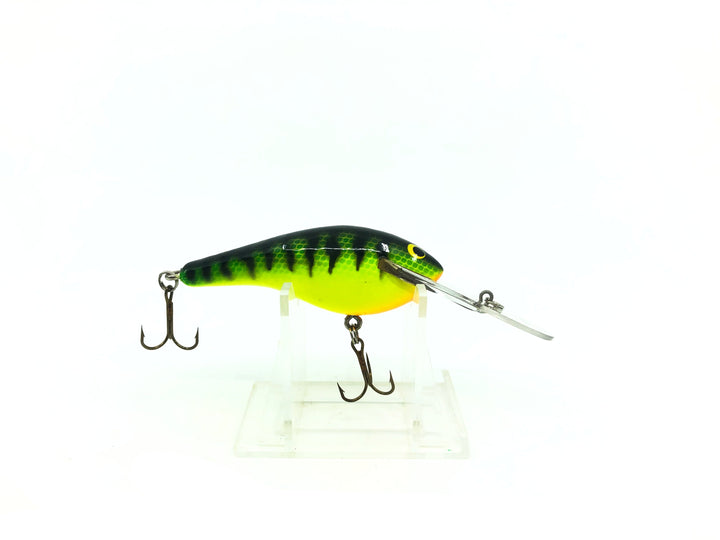 Lee Sisson Diving Little Ticker Fire Tiger Color