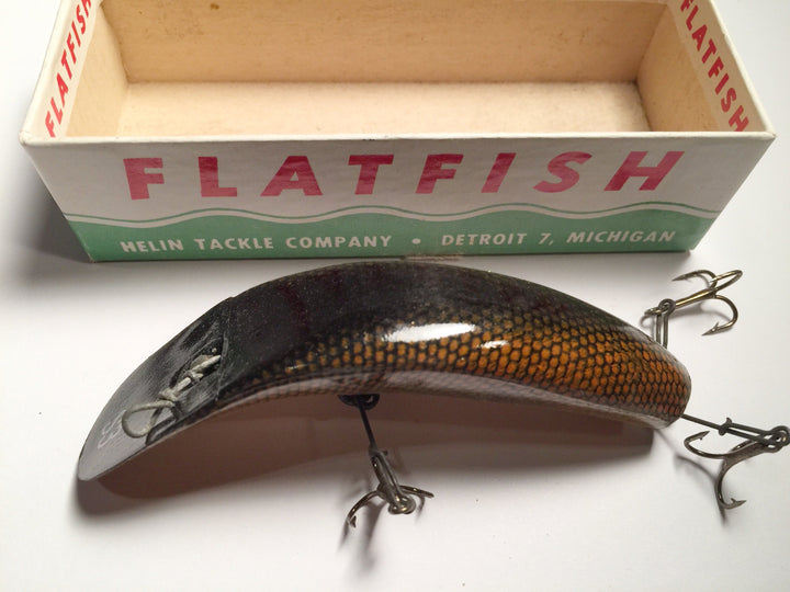 Helin Flatfish S3 SC New in Box Orange Belly