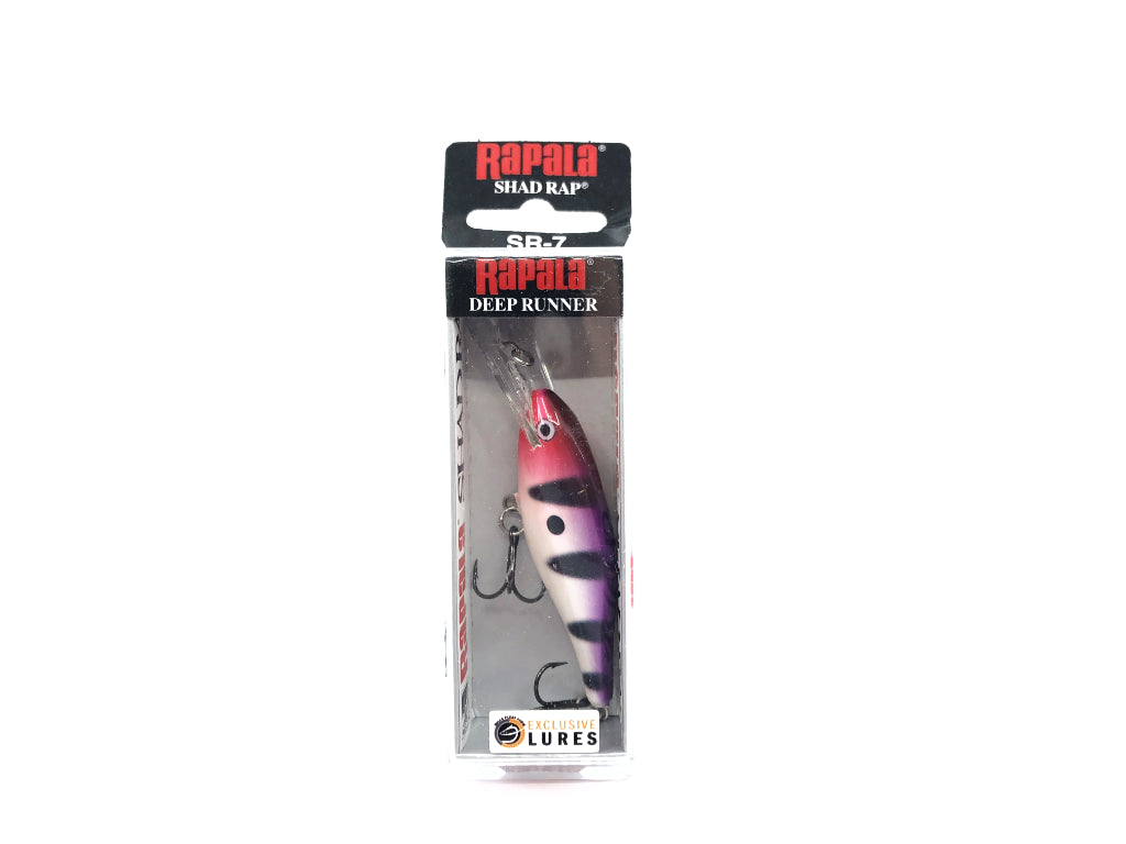 Rapala Shad Rap SR-7 PRN Purple Rain Fleet Farm Exclusive Color New in Box Old Stock