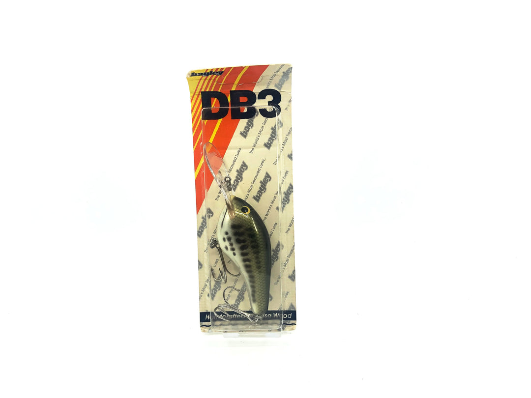 Bagley Diving B3 DB3-BB Baby Bass Color New on Card Old Stock Florida Bait