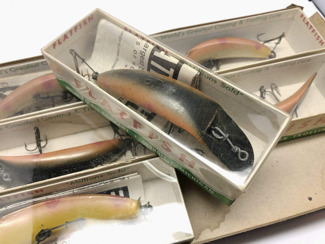 Helin Dealer Box Bottom Six Pack of L9 Flatfish Nice Color