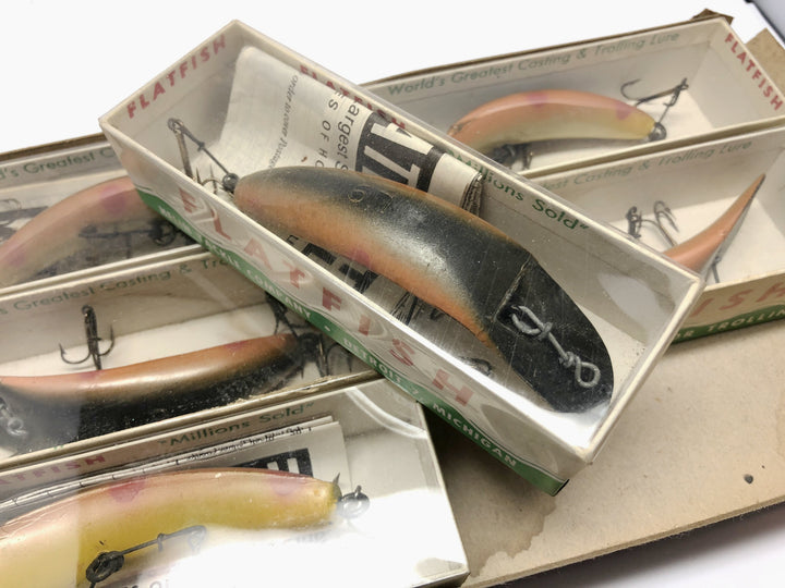 Helin Dealer Box Bottom Six Pack of L9 Flatfish Nice Color